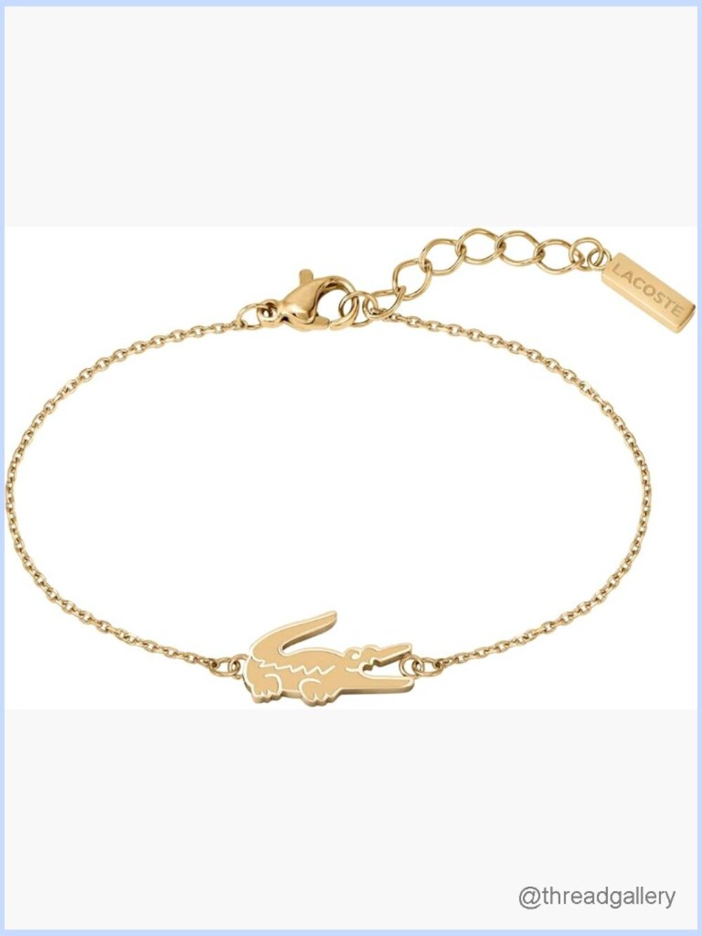 Stainless Steel Link Charm Bracelet with Lobster Claw Clasp, Adjustable 6.5